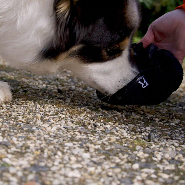 Redoggo Futterdummy, groß Futterdummy