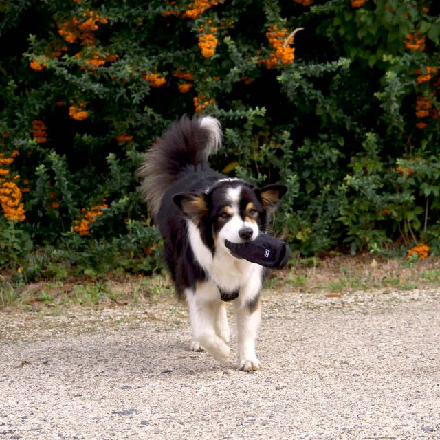 Redoggo Futterdummy, groß Futterdummy