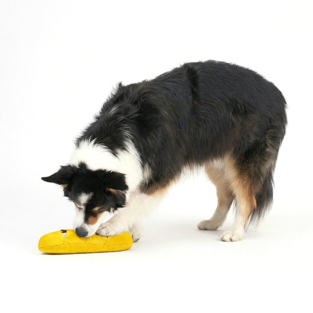 Redoggo Hundespielzeug Baguette Interaktiv