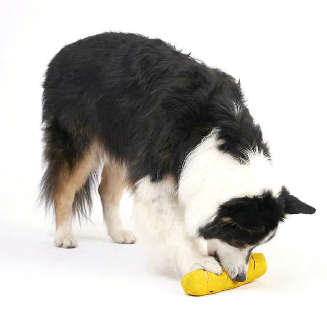 Redoggo Hundespielzeug Baguette Interaktiv