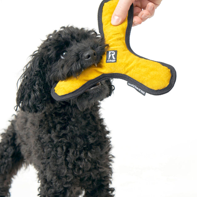 Redoggo Hundespielzeug Bumerang Stoffspielzeug