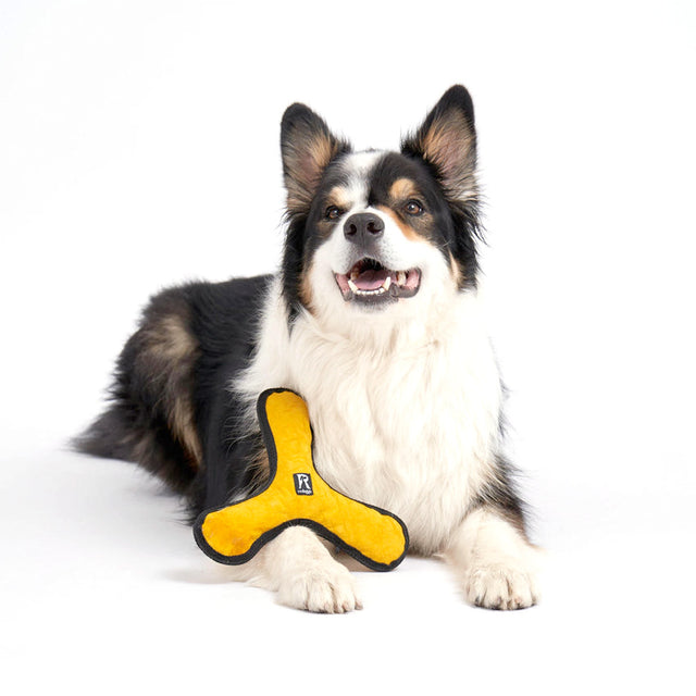 Redoggo Hundespielzeug Bumerang Stoffspielzeug