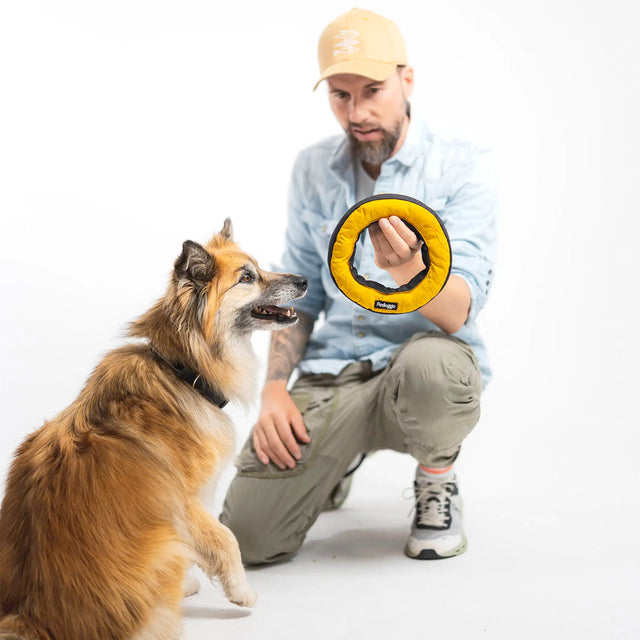 Redoggo Hundespielzeug Donut, Schwarz-Gelb Stoffspielzeug