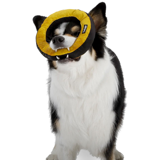 Redoggo Hundespielzeug Donut, Orange-Blau Stoffspielzeug