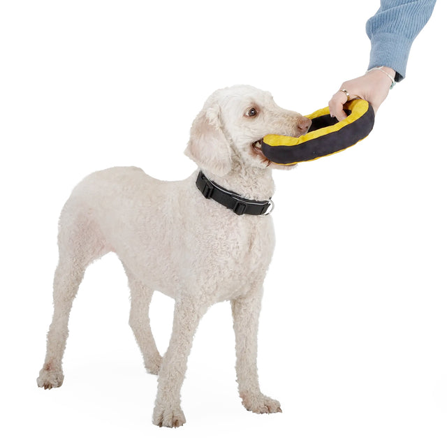 Redoggo Hundespielzeug Donut, Orange-Blau Stoffspielzeug