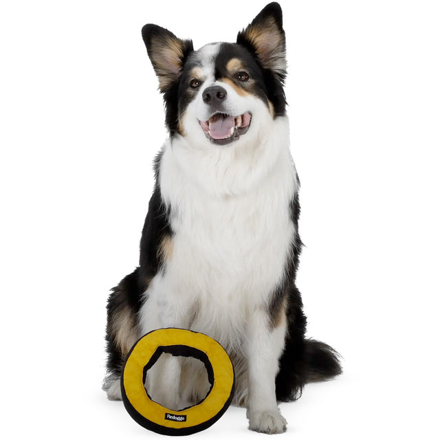 Redoggo Hundespielzeug Donut, Orange-Blau Stoffspielzeug