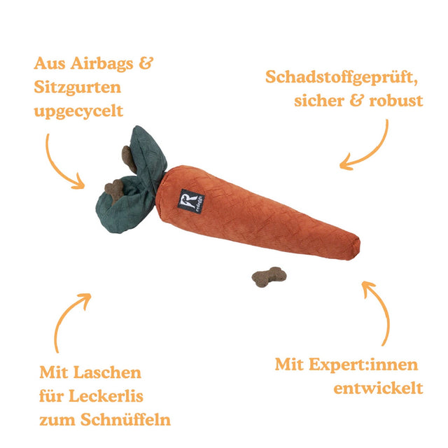Redoggo Hundespielzeug Karotte Interaktiv