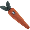 Redoggo Hundespielzeug Karotte Interaktiv