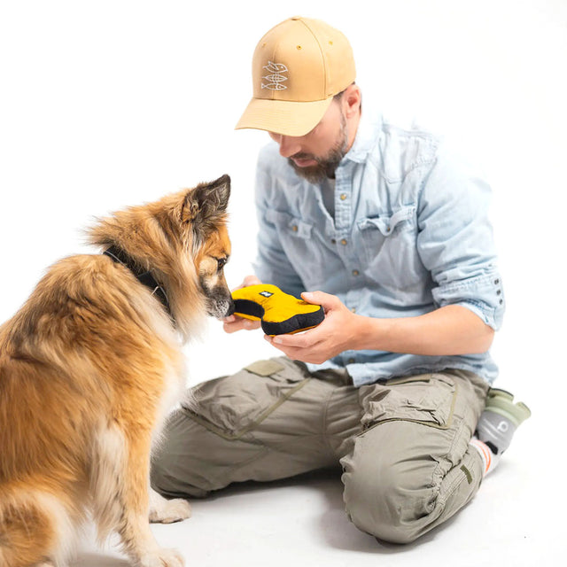 Redoggo Hundespielzeug Knochen, Gelb-Schwarz Stoffspielzeug