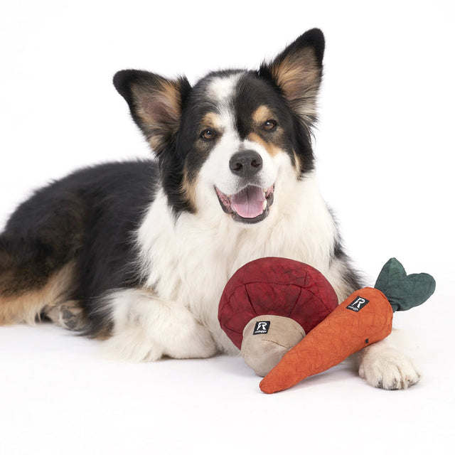 Redoggo Hundespielzeug Pilz Interaktiv