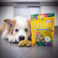 SmoothieDog Smoothie Bites, gefriergetrockneter Snack, Huhn Fleischsnacks