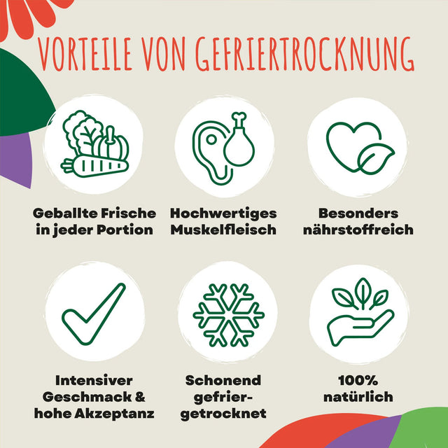SmoothieDog Smoothie Bites, gefriergetrockneter Snack, Huhn Fleischsnacks