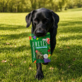 SmoothieDog Smoothie Bites, gefriergetrockneter Snack, Lamm Fleischsnacks
