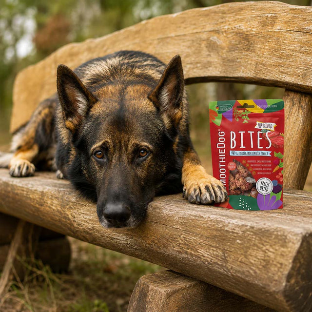 SmoothieDog Smoothie Bites, gefriergetrockneter Snack, Rind Fleischsnacks