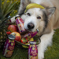 SmoothieDog Hundesmoothie, Obstkorb Hundeleckerli