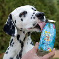 SmoothieDog Hundesmoothie, Pool Pawty, Kaninchen Fleischsnacks