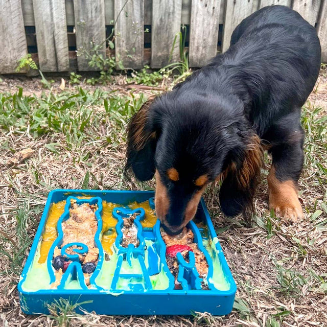 Sodapup Antischlingnapf eTray Waiting Dogs Interaktiv