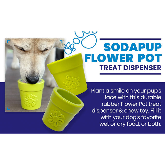 Sodapup Leckerlispender Flower Pot, Grün Interaktiv