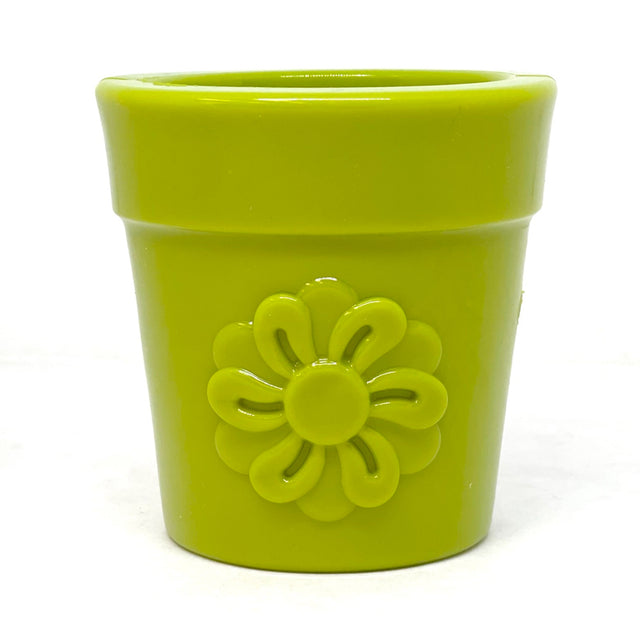 Sodapup Leckerlispender Flower Pot, Grün Interaktiv