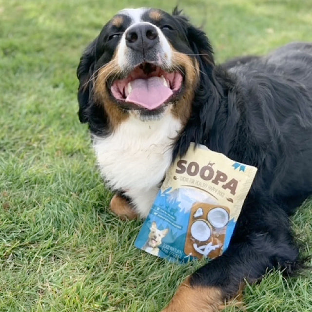 Hundesnack, Kokosnuss Chews