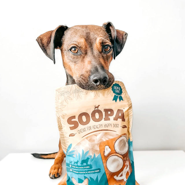 Hundesnack, Kokosnuss Chews