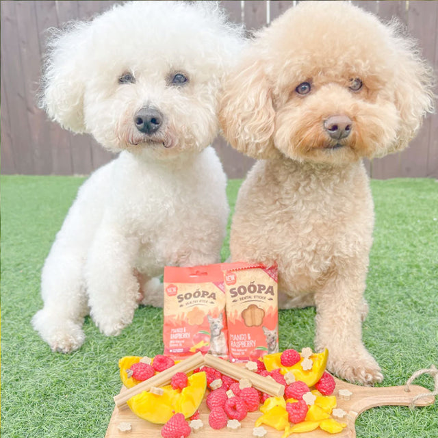 Soopa Dental Sticks, Mango & Himbeere Zahnpflege