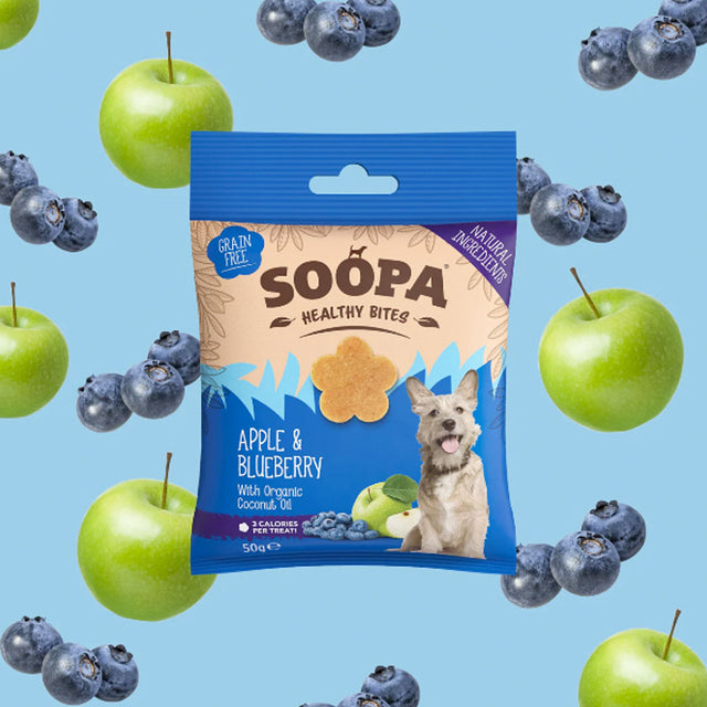 Hundekekse Healthy Bites, Apfel & Blaubeere