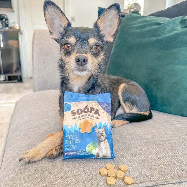 Soopa Hundekekse, Apfel & Blaubeere Hundekeks