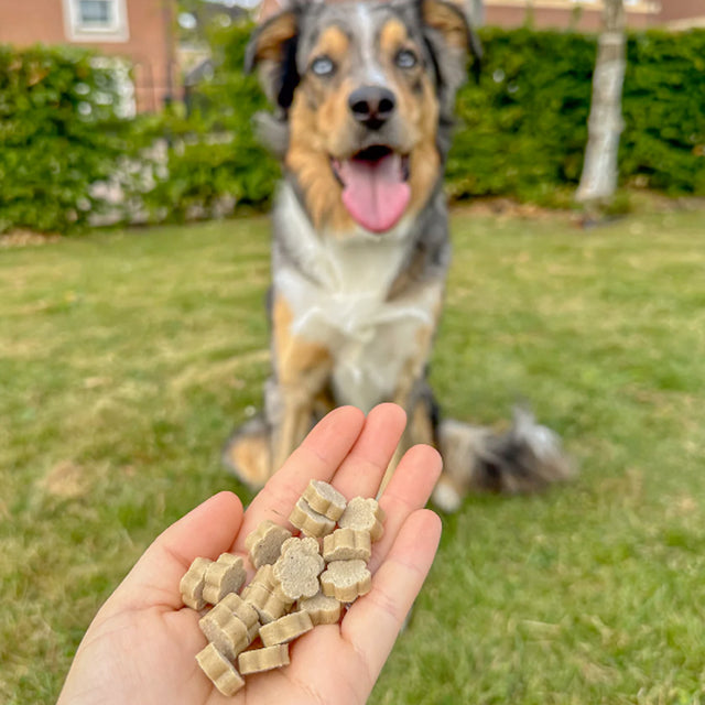 Soopa Hundekekse, Apfel & Blaubeere Hundekeks