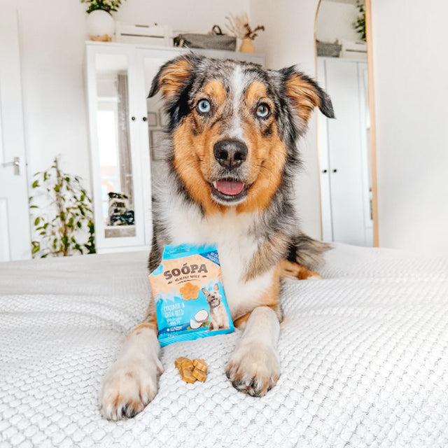 Soopa Hundekekse, Kokos & Chiasamen Hundekeks