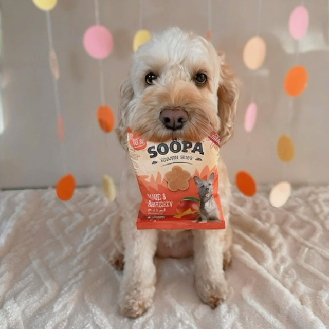 Soopa Hundekekse, Mango & Himbeere Hundekeks