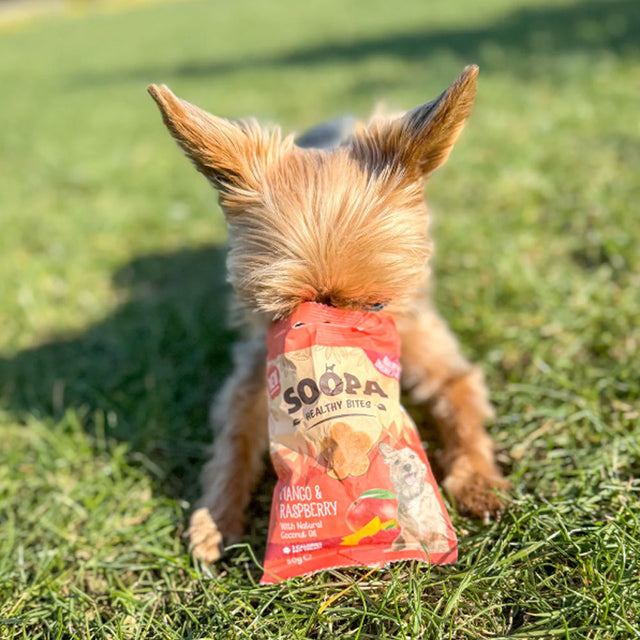 Soopa Hundekekse, Mango & Himbeere Hundekeks