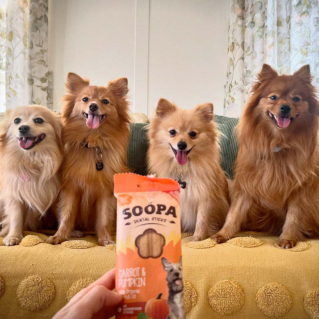 Soopa Dental Sticks, Karotte & Kürbis Zahnpflege
