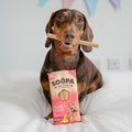Soopa Mini Dental Sticks, Banana & Pumpkin Hundeleckerli