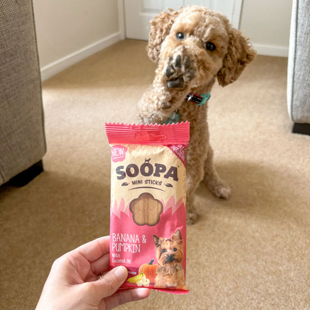 Soopa Mini Dental Sticks, Banana & Pumpkin Hundeleckerli