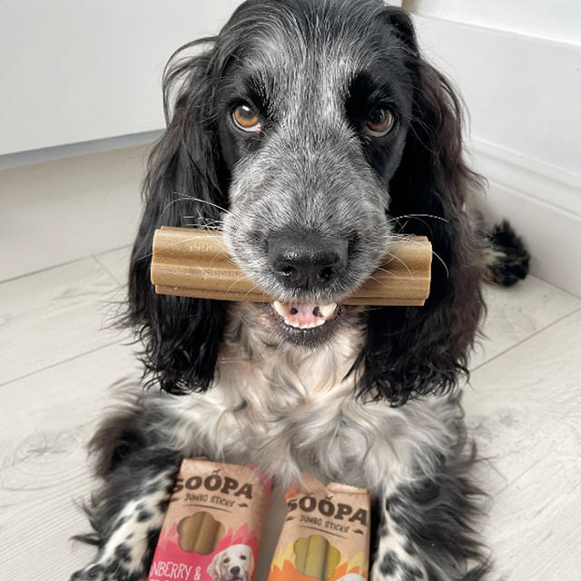 Soopa Jumbo Dental Sticks, Cranberry & Sweet Potato Zahnpflege