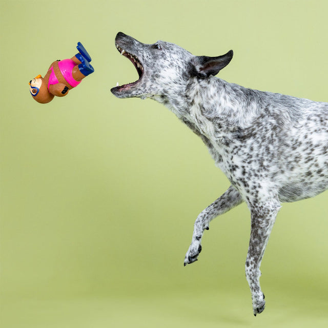 Fringe Studio Hundespielzeug Eat Sleep Snorkel Stoffspielzeug