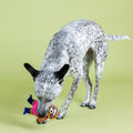 Fringe Studio Hundespielzeug Eat Sleep Snorkel Stoffspielzeug