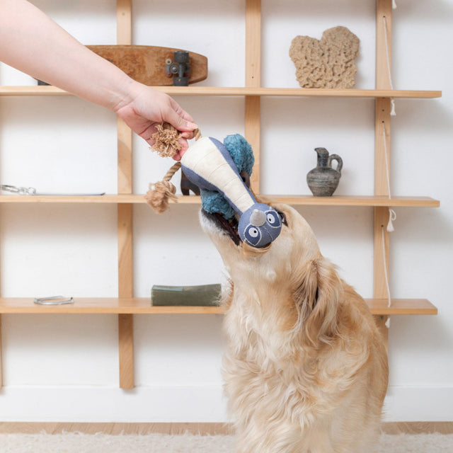 Fringe Studio Hundespielzeug Feather Than Ever Stoffspielzeug