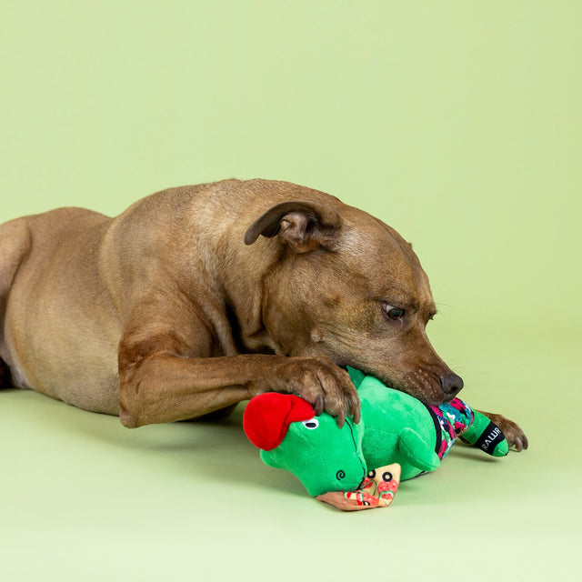 Fringe Studio Hundespielzeug Pizzasaurus Stoffspielzeug