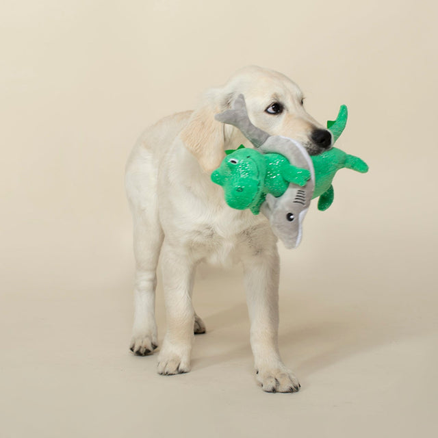 Fringe Studio Hundespielzeug Sharksaurus Rex Stoffspielzeug