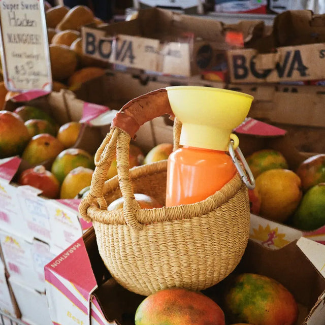 Springer Travel Bottle The Flip, Mango/Zitrone 590ml Trinkflasche