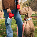 Springland Pets Travel Bottle The Flip, Cherry/Sky Blue Trinkflasche