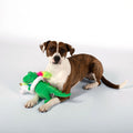Fringe Studio Hundespielzeug Summa Time Rex Stoffspielzeug