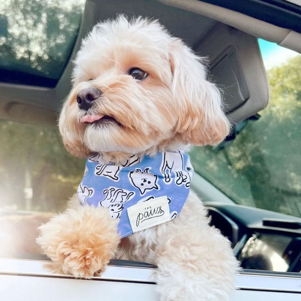 Hundegeburtstagsparty Bandana 'Let's Pawty' – Festliches Halstuch Für Welpen & Hunde, Weiches Baumwoll-Bandana