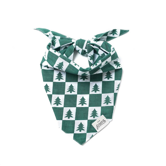 Bandana | Spruce