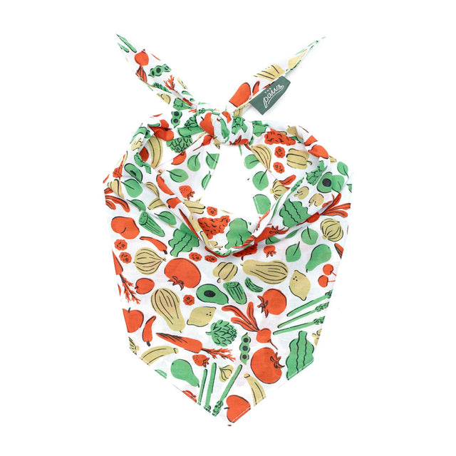 The Paws Bandana, Farmers Market Hundehalstücher