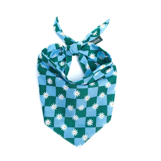 The Paws Bandana, Koa Hundehalstücher