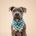 The Paws Bandana, Koa Hundehalstücher