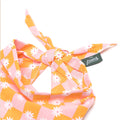 The Paws Bandana, Hula Hundehalstücher